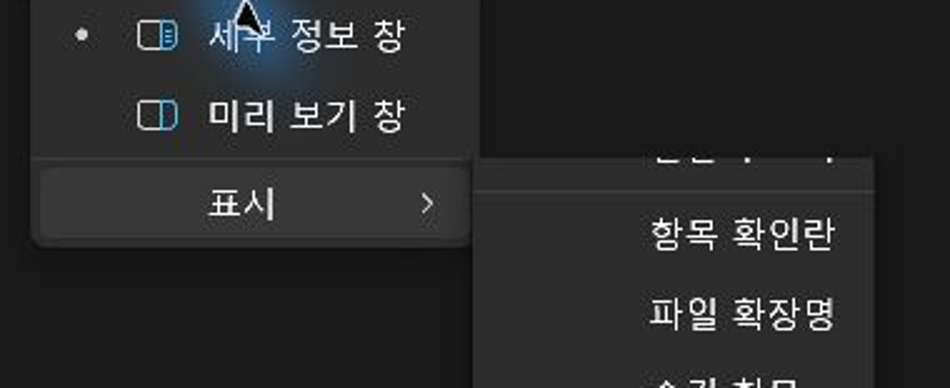 파일 탐색기 보기 메뉴에서 표시 하위 메뉴의 파일 확장명 항목을 연 실제 화면